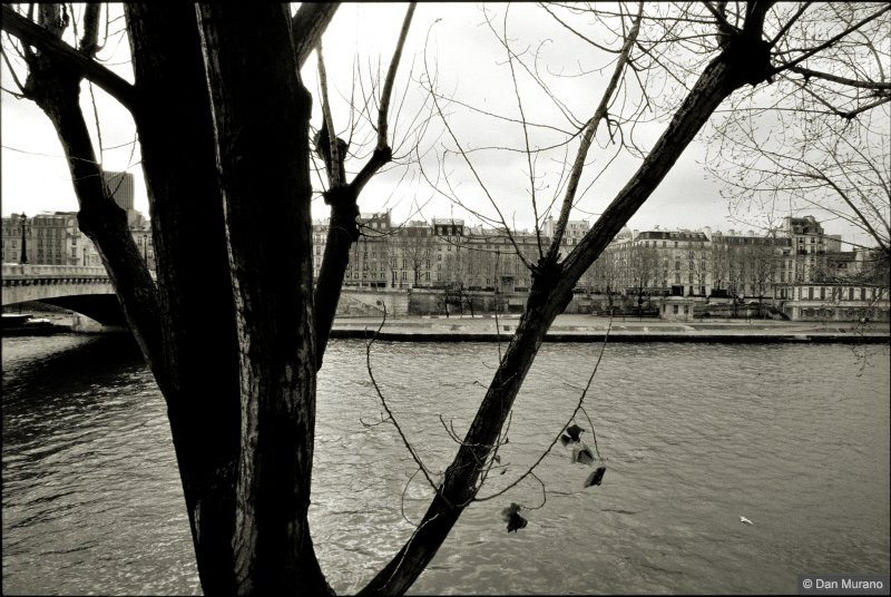 Looking across the Seine from L'Isle St. Louis. (2003)