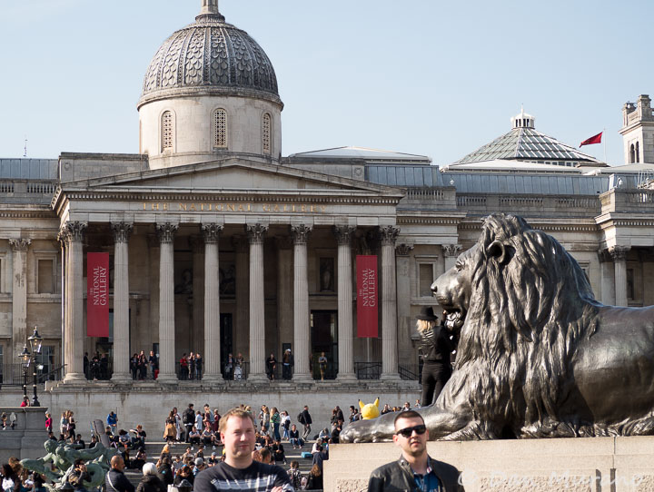 One of the Landseer Lions with the London Gallery in the background.